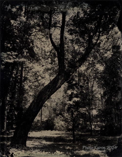 Landscapes and Architecture