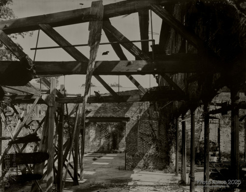 Landscapes and Architecture