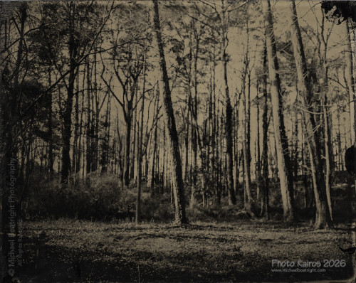 Landscapes and Architecture