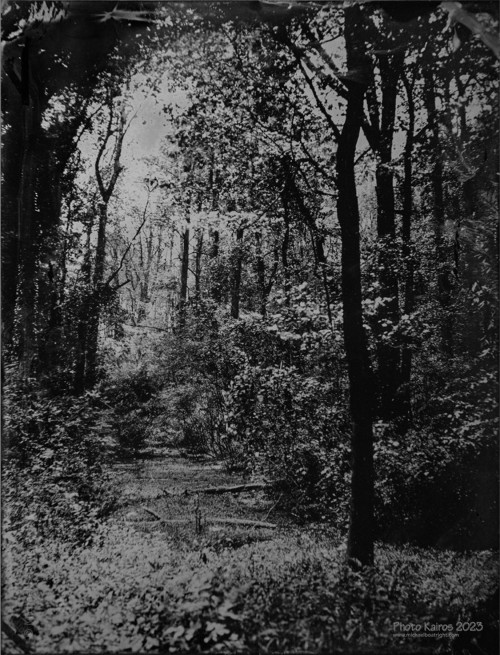 Landscapes and Architecture