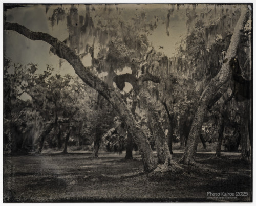 Landscapes and Architecture