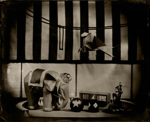 Still Life