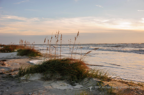Sapelo 2012