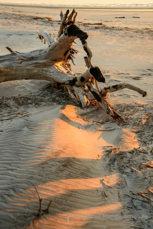 Sapelo Island