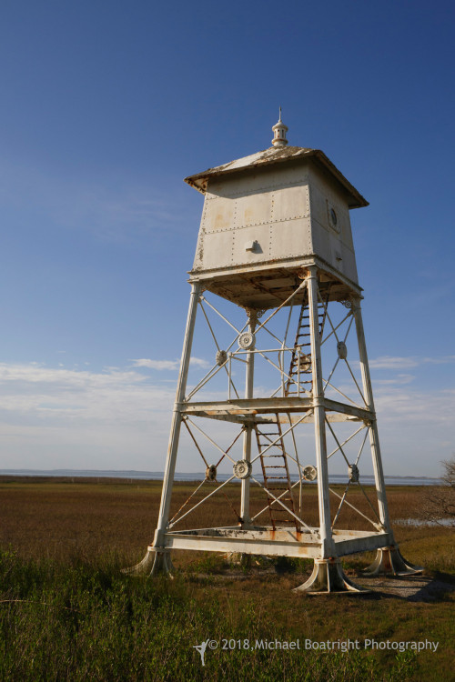 Sapelo 2018