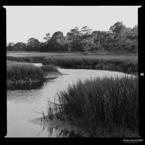 Sapelo 2021
