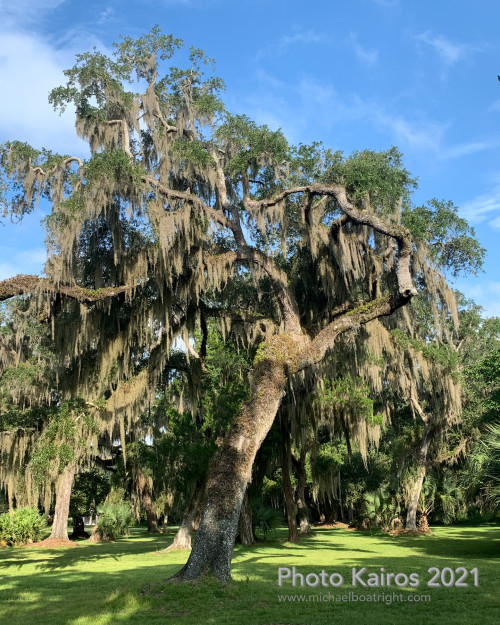 Sapelo 2021