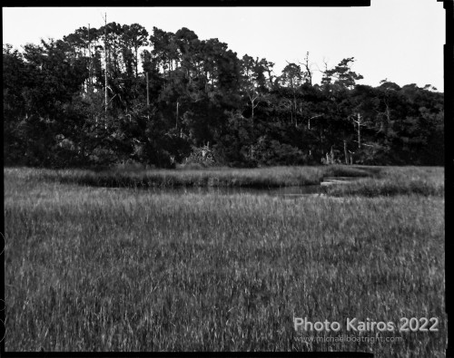 Sapelo 2022