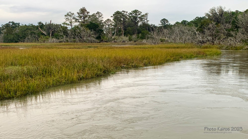 Sapelo 2023