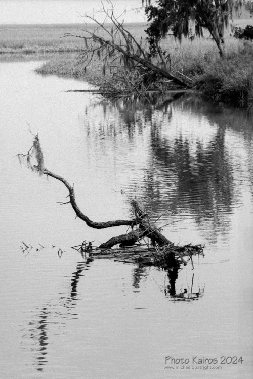 Sapelo 2024