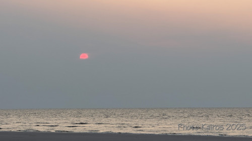 Sapelo 2025
