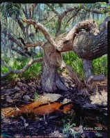 Join the Analog Photography Movement!