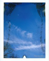 Join the Analog Photography Movement!
